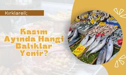 Kırklareli; Kasım Ayında Hangi Balıklar Yenir?