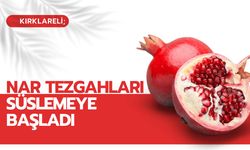 Kırklareli; Nar Tezgahları Süslemeye Başladı