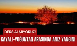 DERS ALMIYORUZ! Kayalı-Yoğuntaş Arasında Anız Yangını