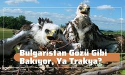 Bulgaristan Gözü Gibi Bakıyor, Ya Trakya?