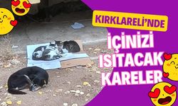 Kırklareli’nde İçinizi Isıtacak Kareler