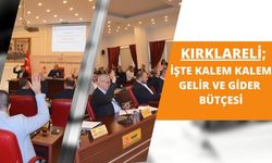 Kırklareli; İşte Kalem Kalem Gelir ve Gider Bütçesi