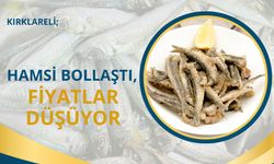 Kırklareli; Hamsi Bollaştı, Fiyatlar Düşüyor