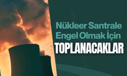 Nükleer Santrale Engel Olmak İçin Toplanacaklar