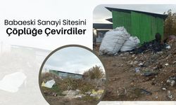 Babaeski Sanayi Sitesini Çöplüğe Çevirdiler