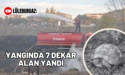 Lüleburgaz: Yangında 7 Dekar Alan Yandı