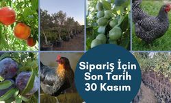 Sipariş İçin Son Tarih 30 Kasım