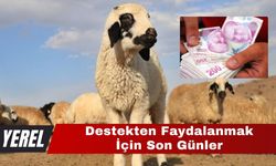 Destekten Faydalanmak İçin Son Günler