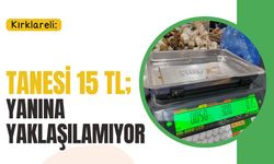 Tanesi 15 TL; Yanına Yaklaşılamıyor