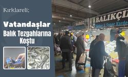 Kırklareli; Vatandaşlar Balık Tezgahlarına Koştu