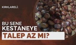 Kırklareli; Bu Sene Kestaneye Talep Az Mı?