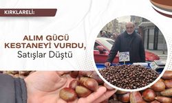 Kırklareli; Alım Gücü Kestaneyi Vurdu, Satışlar Düştü