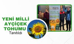 Yeni Milli Ayçiçek Tohumu Tanıtıldı