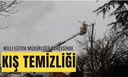 Milli Eğitim Müdürlüğü Bahçesinde Kış Hazırlığı