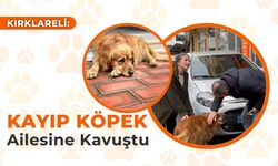 Kayıp Köpek Ailesine Kavuştu