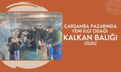 Çarşamba Pazarında Yeni İlgi Odağı Kalkan Balığı Oldu