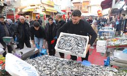 Fiyatı Düşen Hamsiye Vatandaşlar Yoğun İlgi Gösterdi