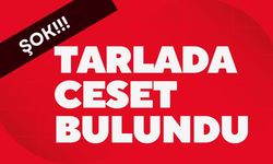 ŞOK; Tarlada Ceset Bulundu