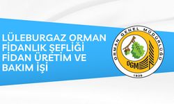 LÜLEBURGAZ ORMAN FİDANLIK ŞEFLİĞİ FİDAN ÜRETİM VE BAKIM İŞİ