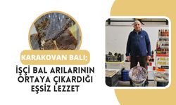 Karakovan Balı; İşçi Bal Arılarının Ortaya Çıkardığı Eşsiz Lezzet