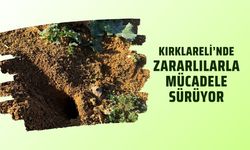 Kırklareli’nde Zararlılarla Mücadele Sürüyor