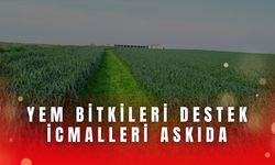 Yem Bitkileri Destek İcmalleri Askıda