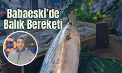 Babaeski’de Balık Bereketi