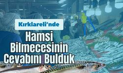 Kırklareli’nde Hamsi Bilmecesinin Cevabını Bulduk