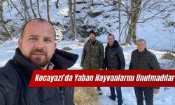 Kocayazı’da Yaban Hayvanlarını Unutmadılar