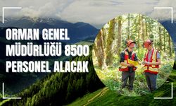 Orman Genel Müdürlüğü 8500 Personel Alacak