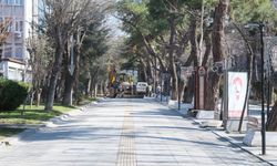 İstasyon Caddesi’nde Budama Çalışmaları