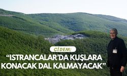 Çidem; “Istrancalar’da Kuşlara Konacak Dal Kalmayacak”