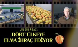 LÜLEBURGAZ; Dört Ülkeye Elma İhraç Ediyor