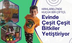 KIRKLARELİ’NDE KÜÇÜK BİR ÇİFTÇİ; Evinde Bitkiler Yetiştiriyor