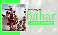 Pehlivanköy’de Bahar Rengarenk Karşılandı