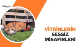 Lüleburgaz: Vitrinlerin Sessiz Misafirleri