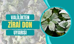 Valilikten “Zirai Don” Uyarısı