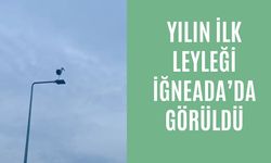 Yılın İlk Leyleği İğneada’da Görüldü