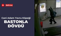 Edirne:  Cani Adam Yavru Köpeği Bastonla Dövdü