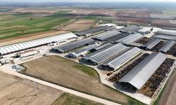 Lüleburgaz; Süt İşletmesi Güneşten Elde Ettiği Enerjiyle Giderlerini Azaltıyor