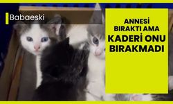 Babaeski: Annesi Bıraktı Ama Kaderi Onu Bırakmadı