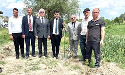 Alacaoğlu Köyü’ndeki Yağmur Duasında, Fidanlar Toprakla Buluştu