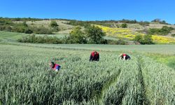 Lüleburgaz’da Çalışmalar Hız Kesmiyor