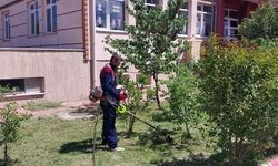 Kavaklı Parlıyor