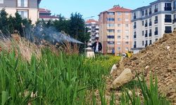 Sivrisineklere Karşı Vatandaşlara Çağrı