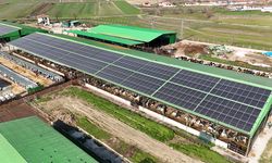 Süt İşletmesinin Çatısına Kurdukları Panellerle Elektriği Güneşten Sağlıyorlar