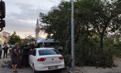 Edirne: Ağaç Dalı Otomobilin Üzerine Düştü