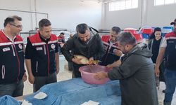 Hedef 10 Milyon 500 Bin Balık Yavrusu Yetiştirmek