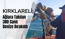 KIRKLARELİ; Ağlara Takılan 380 Canlı Denize Bırakıldı
