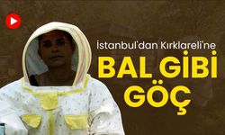 İstanbul'dan Kırklareli'ne Bal Gibi Göç